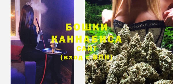прущие грибы Сосновый Бор