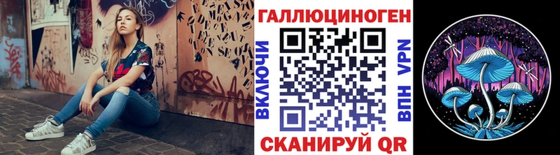 Псилоцибиновые грибы Psilocybe Бахчисарай